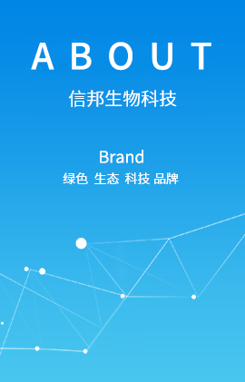 關于我們